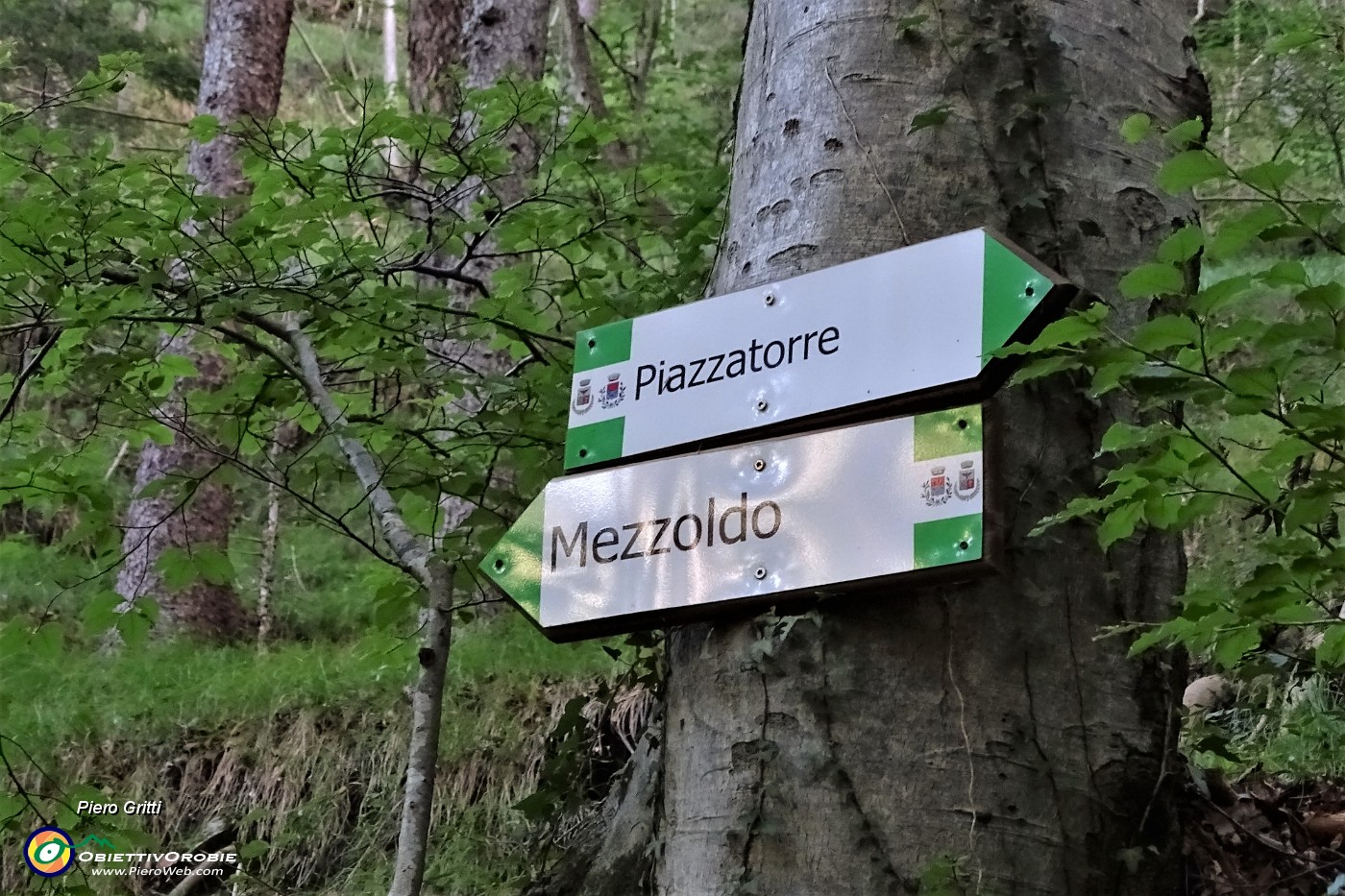 15 Seguo i bolli bianco-verdi direzione Mezzoldo.JPG